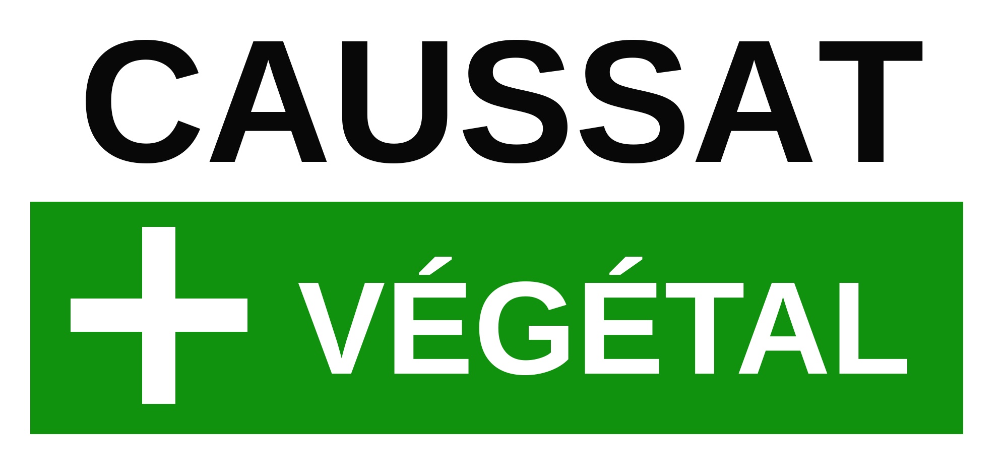 Logo caussat Végétal