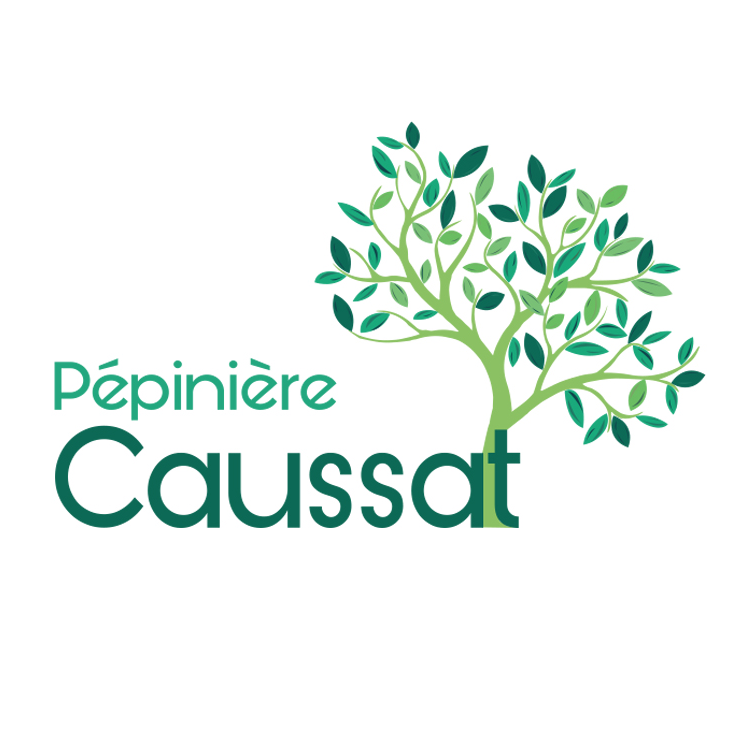 LOGO DE MARQUE PÉPINIÈRE CAUSSAT